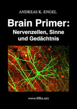 Cover Nervenzellen